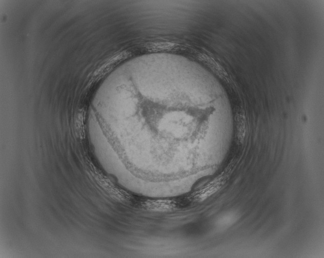 X0000081370378200702020211