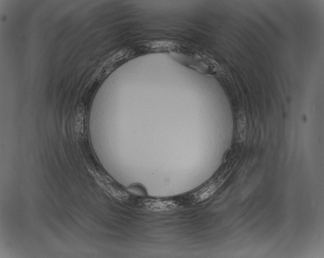 X0000081370379200702020211