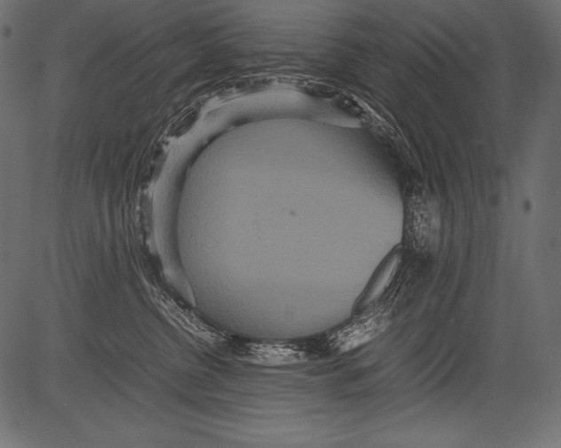 X0000081370380200702020211