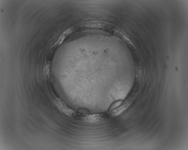 X0000081370382200702020211