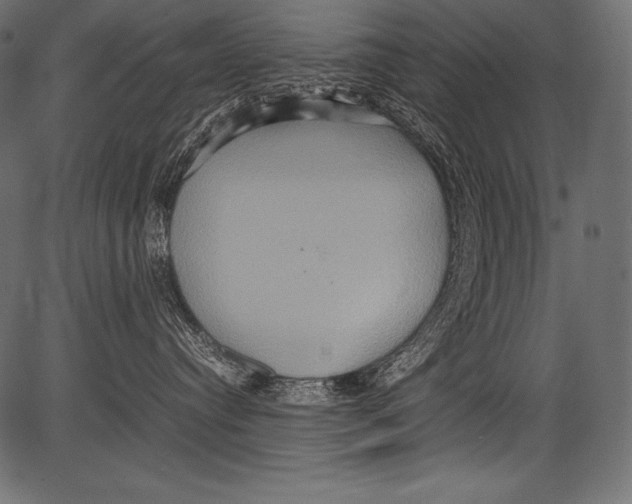 X0000081370384200702020211