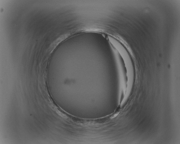 X0000081370385200702020210