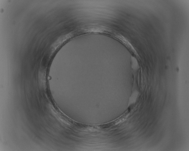 X0000081370386200702020210