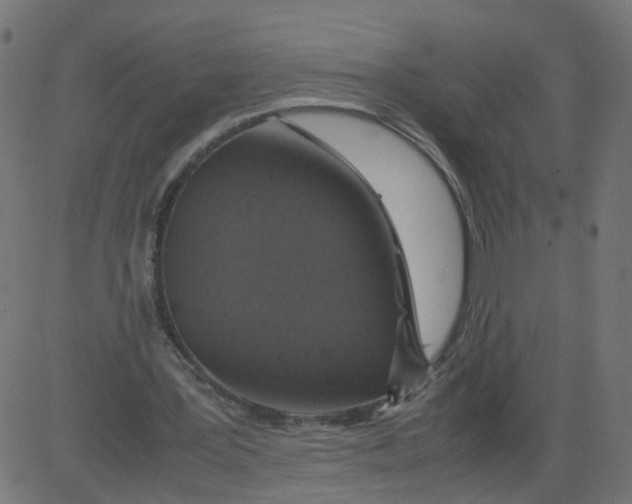 X0000081370387200702020210