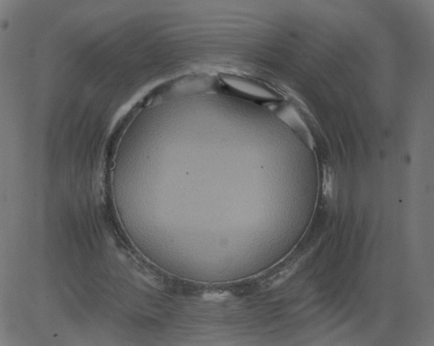 X0000081370388200702020210