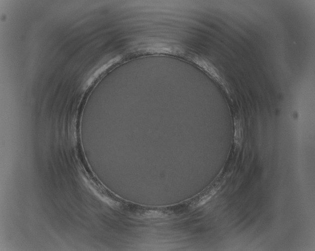 X0000081370390200702020210