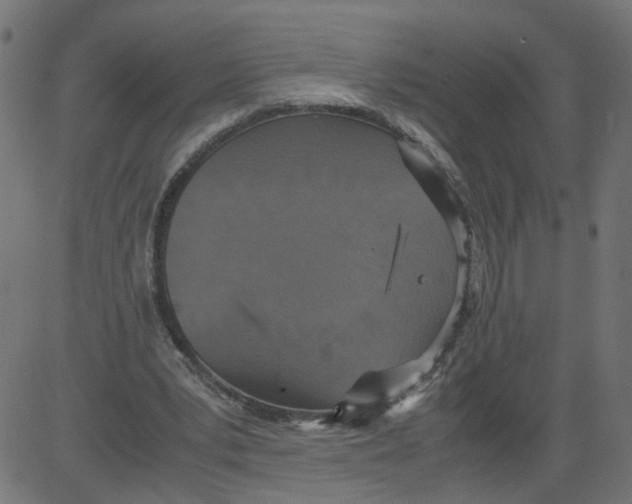 X0000081370391200702020210