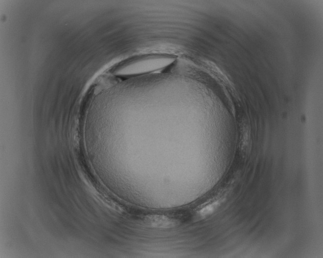 X0000081370392200702020210