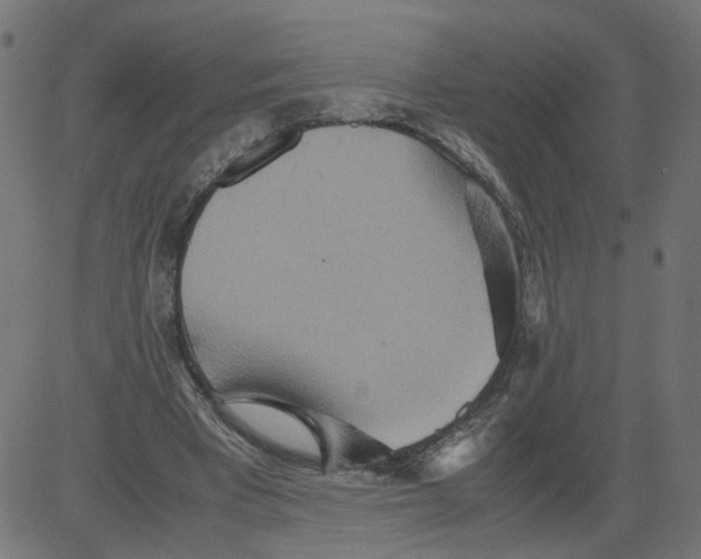 X0000081370393200702020210