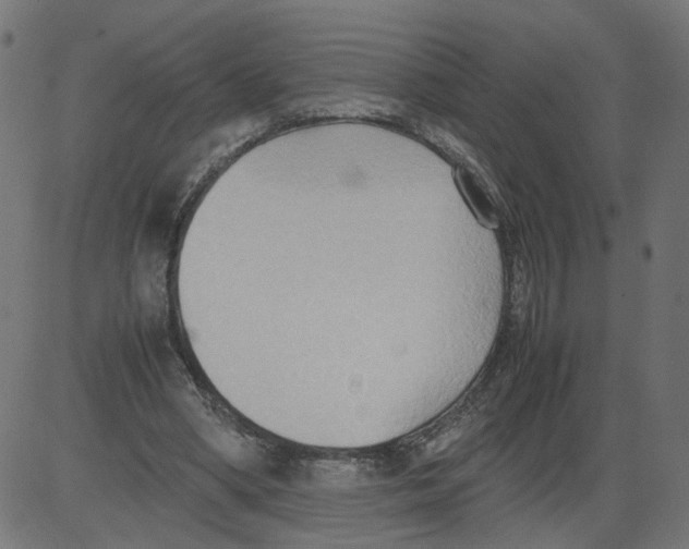 X0000081370394200702020210