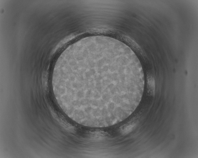 X0000081370396200702020210