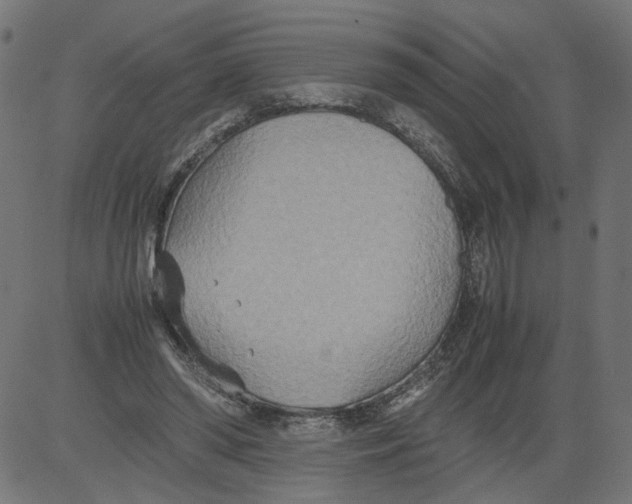 X0000081370398200702020210