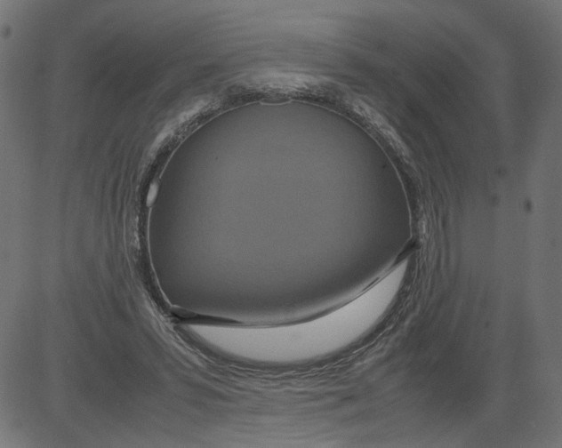 X0000081370399200702020210