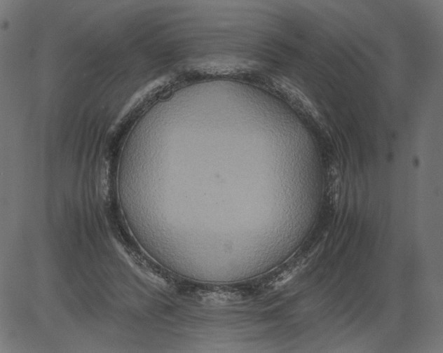 X0000081370400200702020210