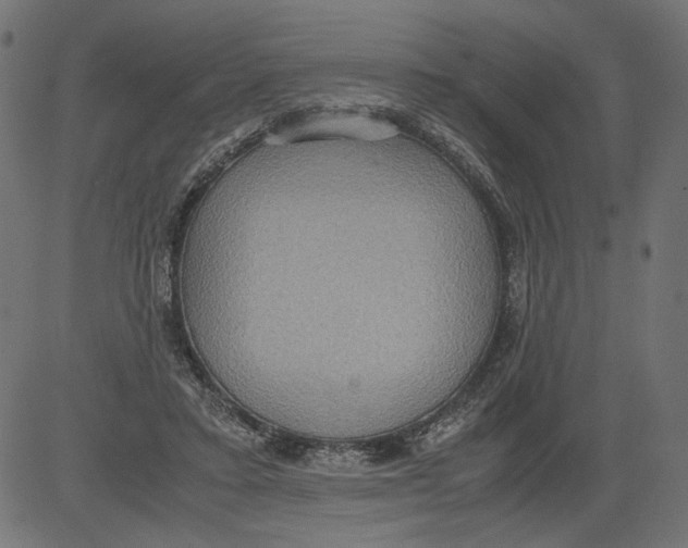 X0000081370403200702020210