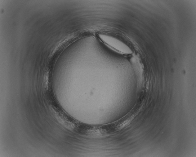 X0000081370404200702020210