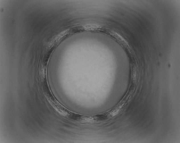 X0000081370405200702020210