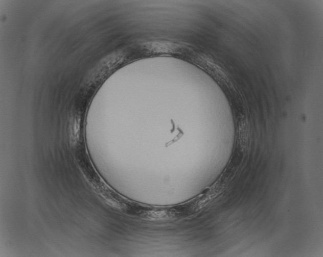 X0000081370406200702020210