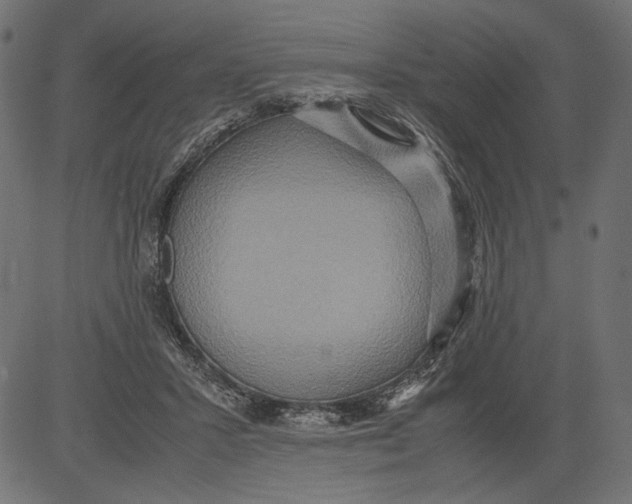 X0000081370407200702020210