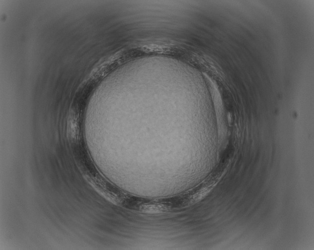 X0000081370408200702020210