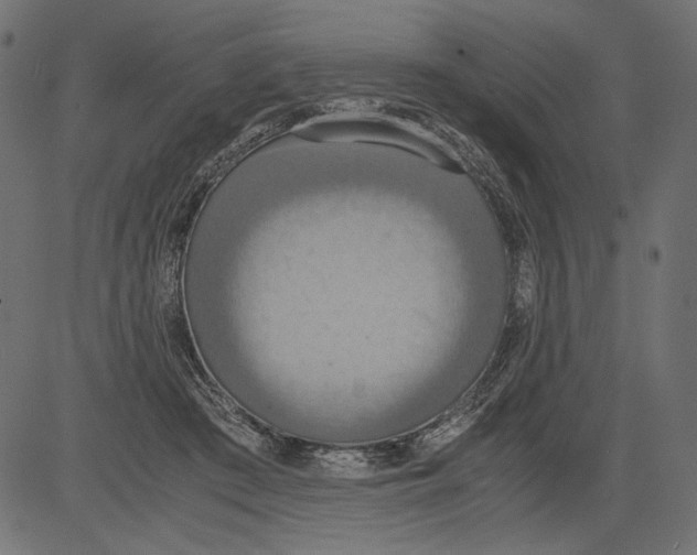 X0000081370409200702020210