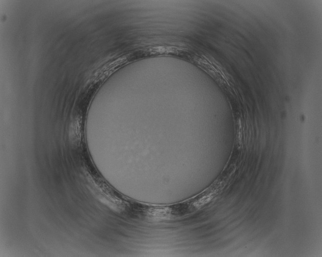 X0000081370410200702020210