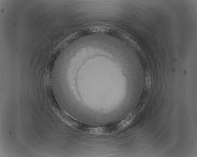 X0000081370411200702020210