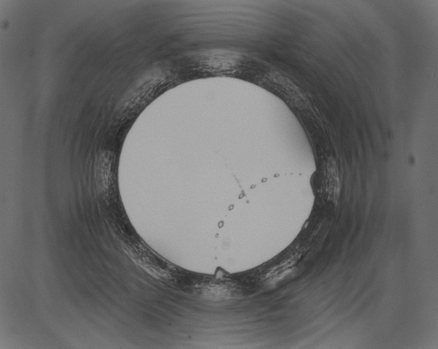 X0000081370412200702020210