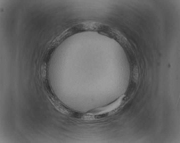 X0000081370413200702020210