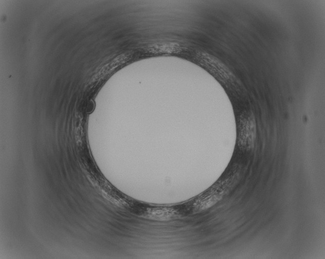 X0000081370414200702020210