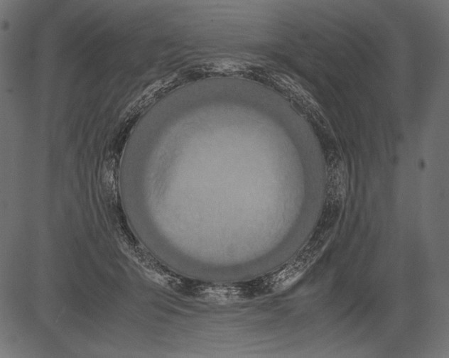 X0000081370415200702020210