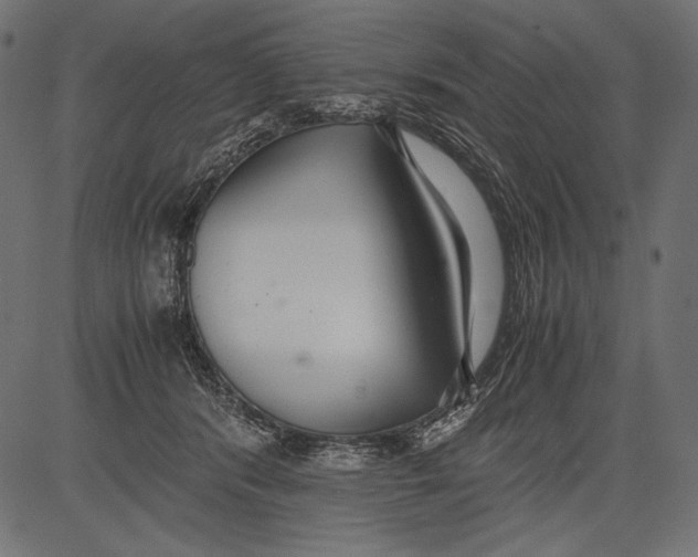 X0000081370416200702020210