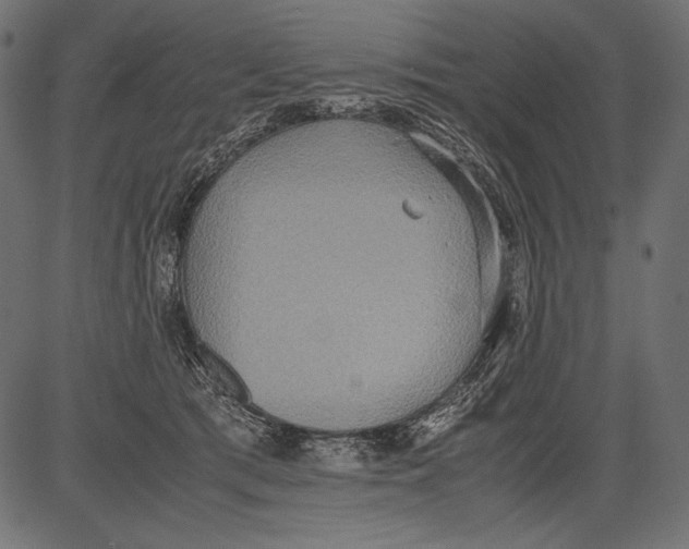 X0000081370417200702020210