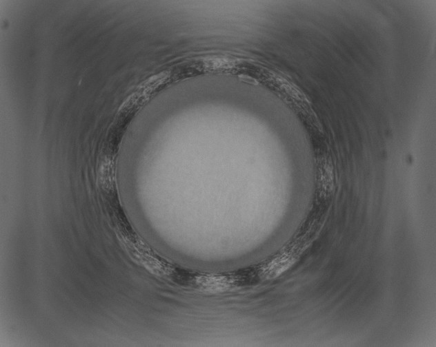 X0000081370419200702020210