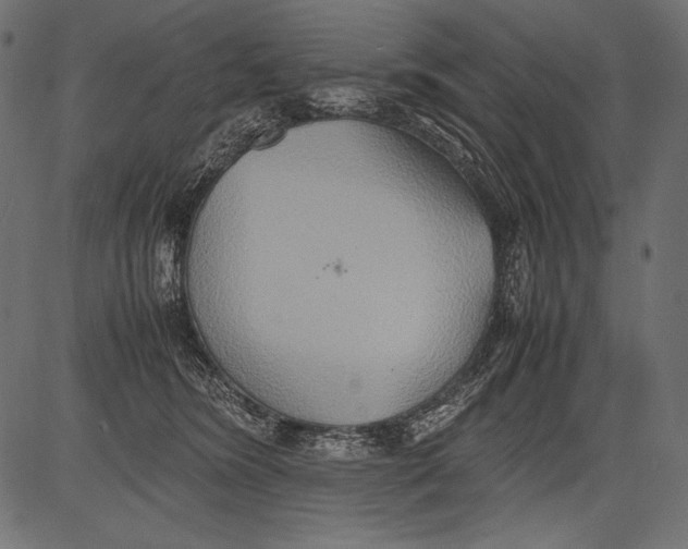 X0000081370420200702020210