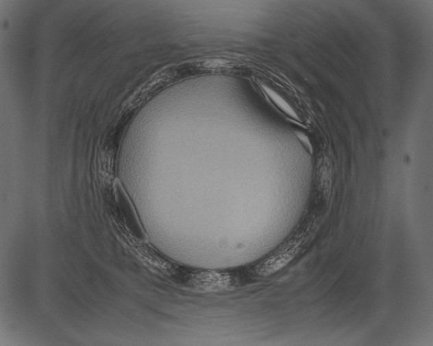 X0000081370421200702020210