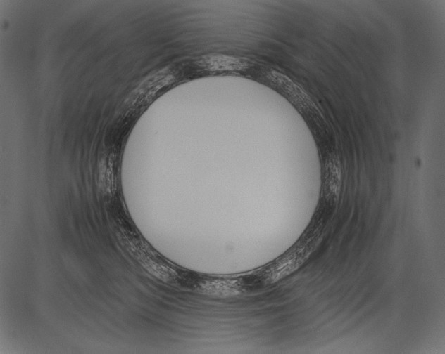 X0000081370422200702020210