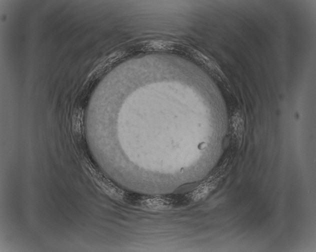 X0000081370423200702020210