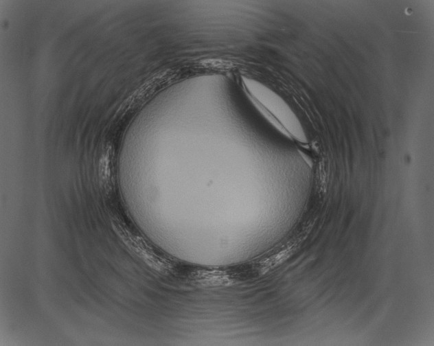 X0000081370424200702020210