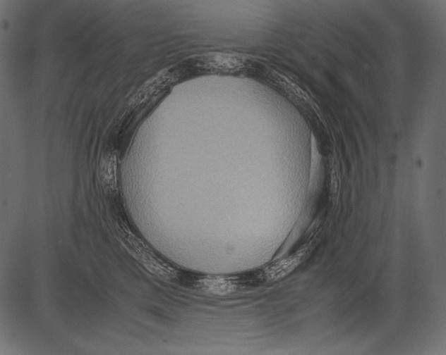 X0000081370425200702020210