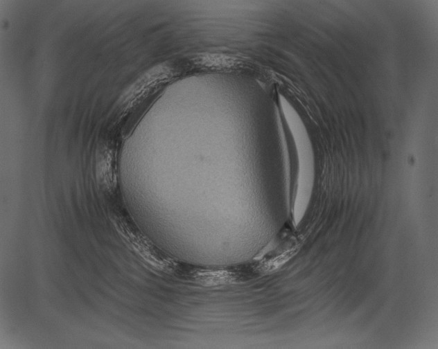 X0000081370428200702020210