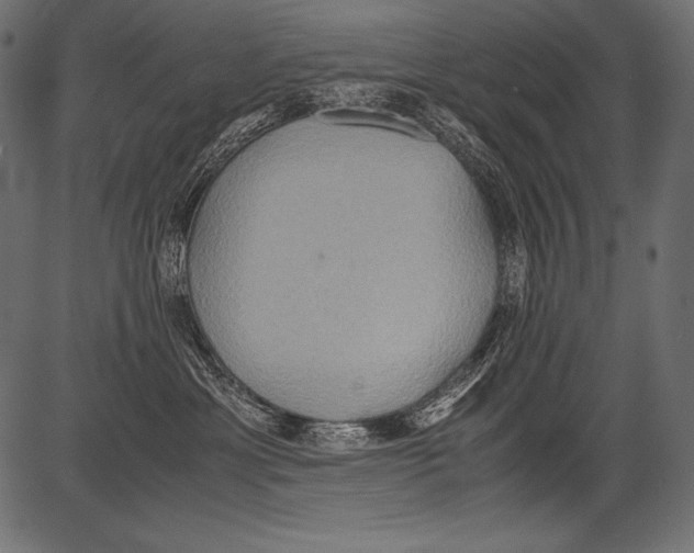 X0000081370429200702020210