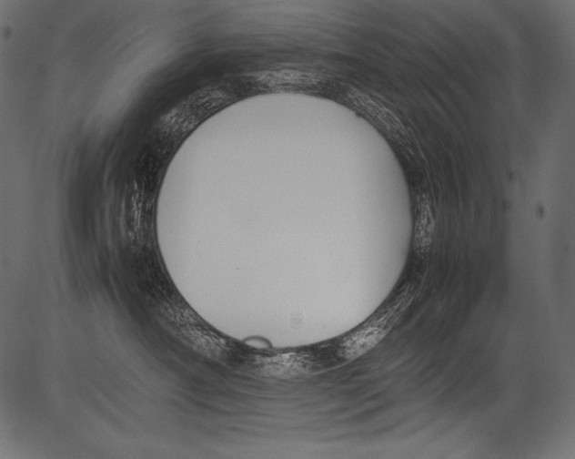 X0000081370430200702020210