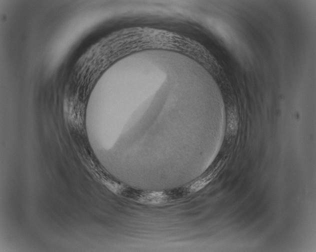 X0000081370431200702020210