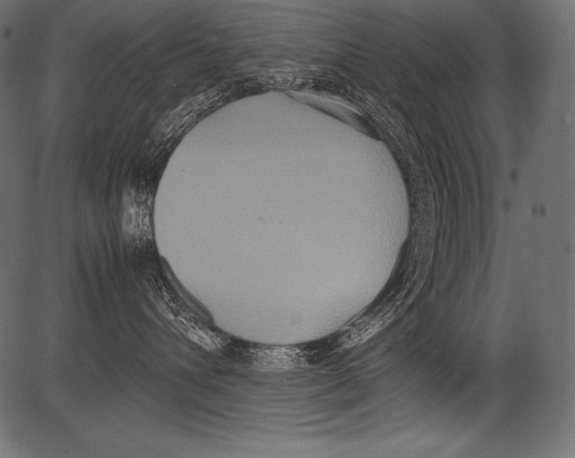 X0000081370432200702020210