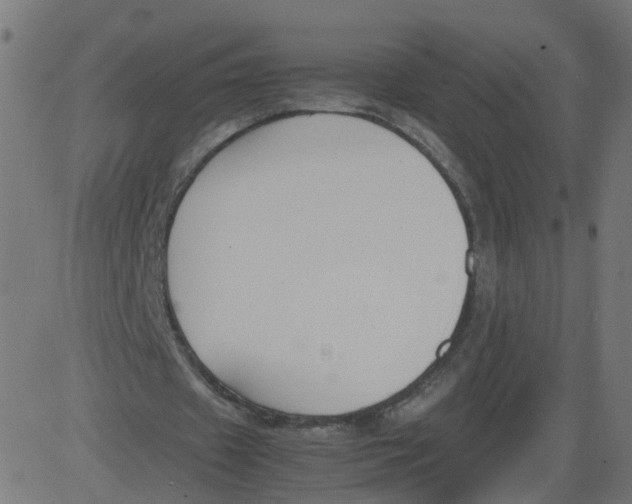 X0000081370433200702020209