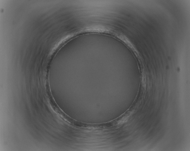 X0000081370434200702020209