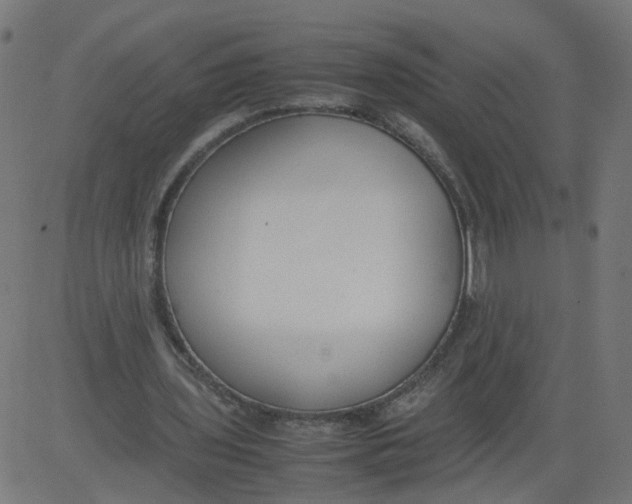 X0000081370435200702020209