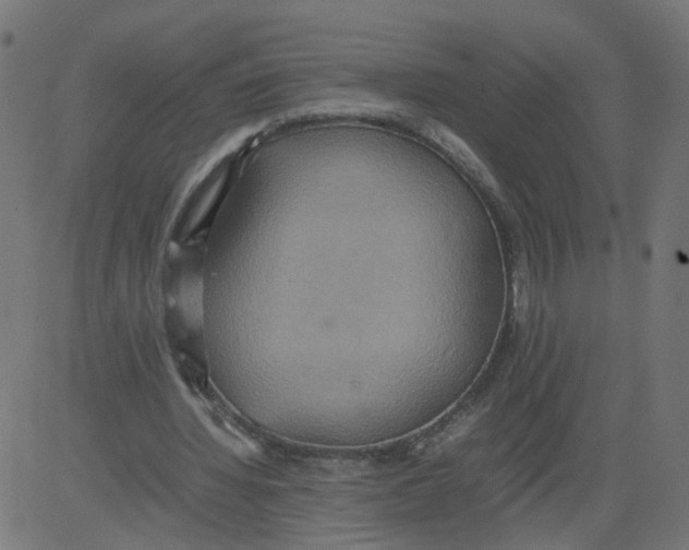 X0000081370436200702020209