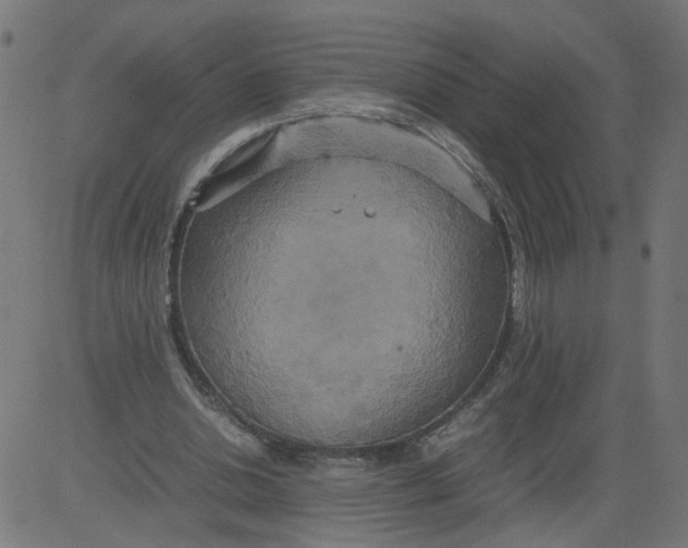 X0000081370438200702020209